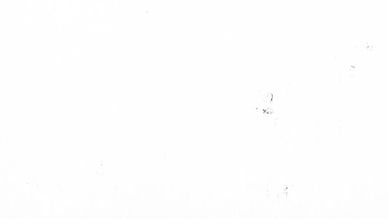 Abstract Black and White Grunge Dust and Scratches Overlay