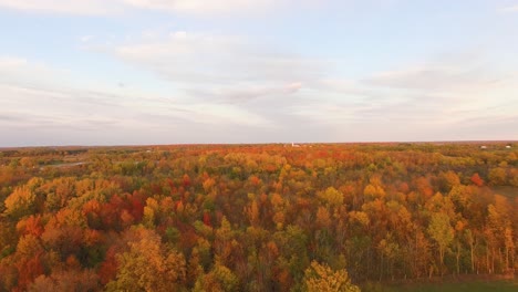 Vista-Aérea-De-ángulo-Alto-De-Tierras-De-Cultivo-Planas-Y-Bosques-De-Madera-Dura-Llenos-De-Colores-Otoñales