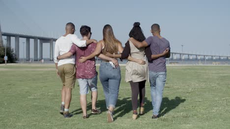vista de atrás de amigos abrazándose mientras caminan por el prado.