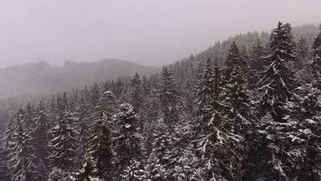 Luftaufnahme-Eines-Waldes-Bei-Starkem-Schneefall