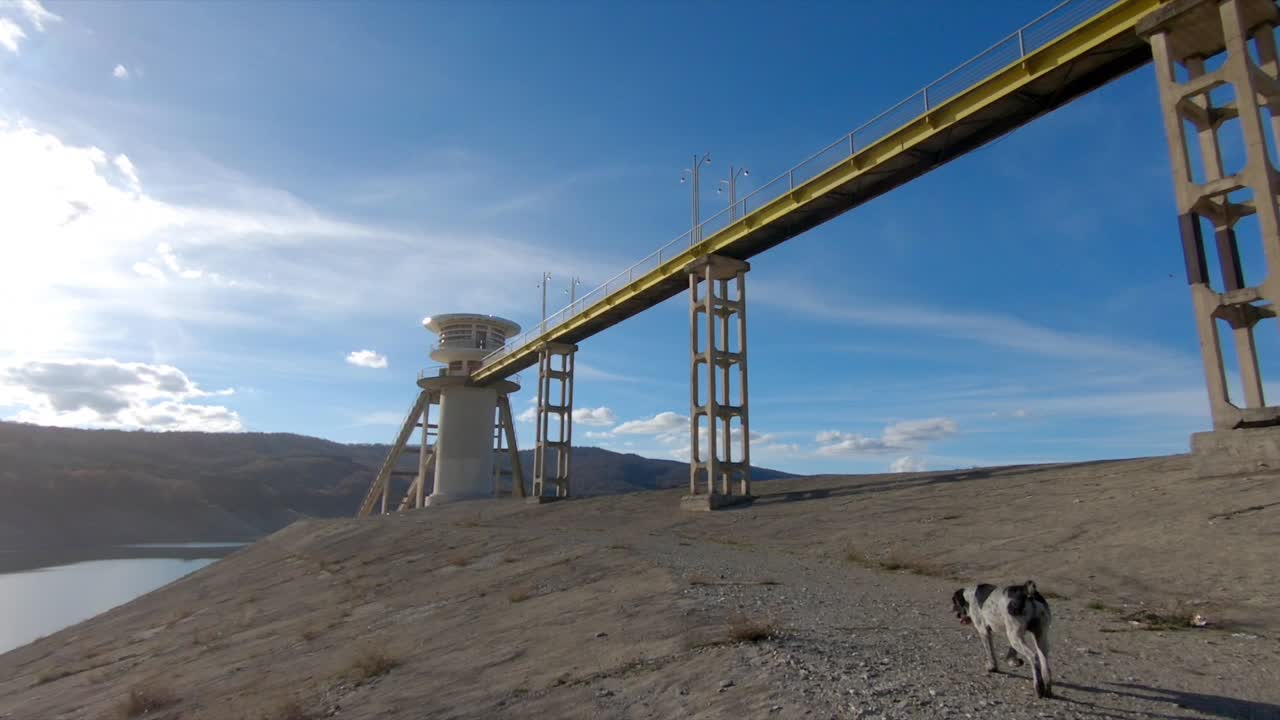 Dog near an abandoned dam