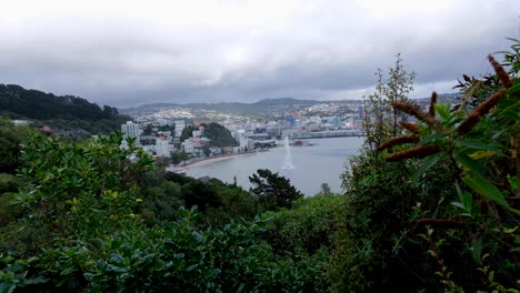 con vistas a la impresionante ciudad escénica y al paisaje del puerto con una fuente de agua desde las colinas que rodean la capital wellington, nueva zelanda aotearoa