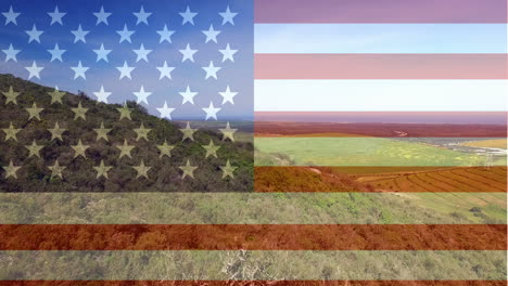 landscape against american flag