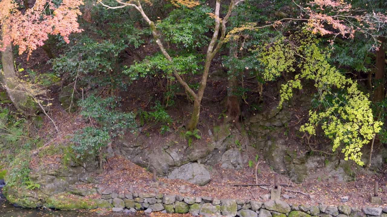 impresionante paisaje cinematográfico con muchas hojas que caen al lado del río