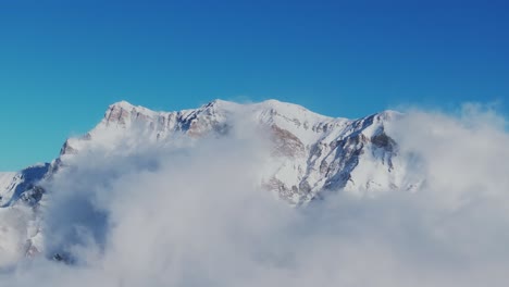 la niebla nevada oculta las siluetas de los pinos de la montaña