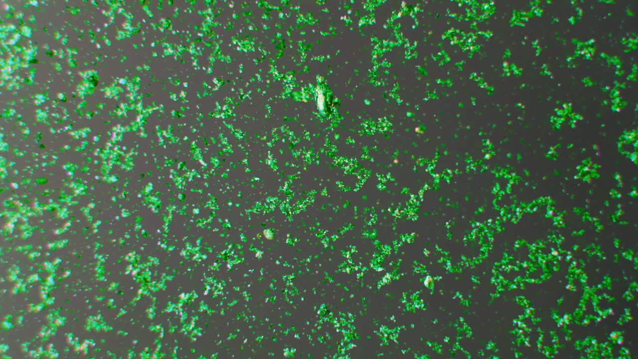 fondo de brillo verde