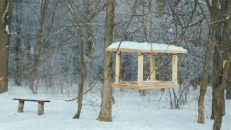 an empty bird feeder in a winter park