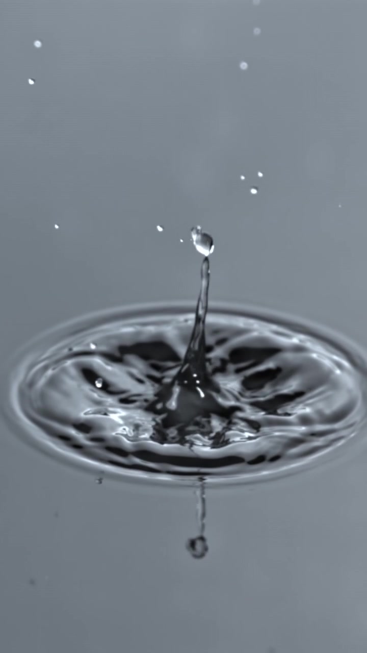 Slow Motion Water Drop Creating Crown Splash and Ripples
