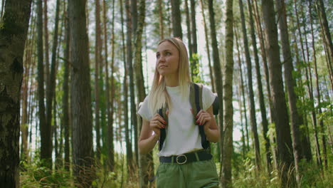 slow-motion footage of a woman walking along a forest road with a backpack through a pine forest through grass