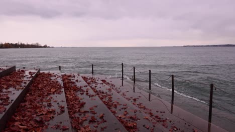 bregenz lake promenade in autumn with leafs - rainy day