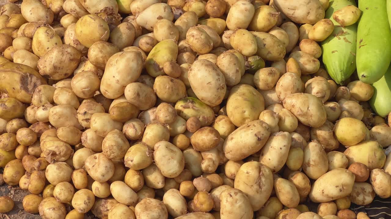 A pile of freshly harvested potatos