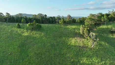 Drone-flying-up-close-to-hill-near-Cooroy-Noosa,-QLD,-with-hilly-terrain-and-the-Glass-House-Mountains-in-the-background