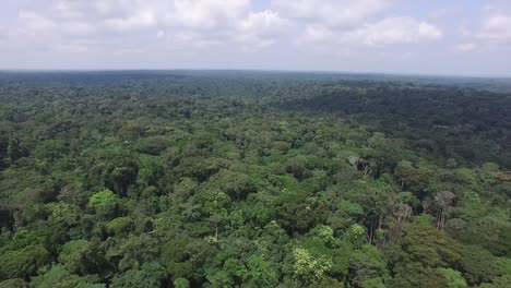 video recorded up high from a drone
