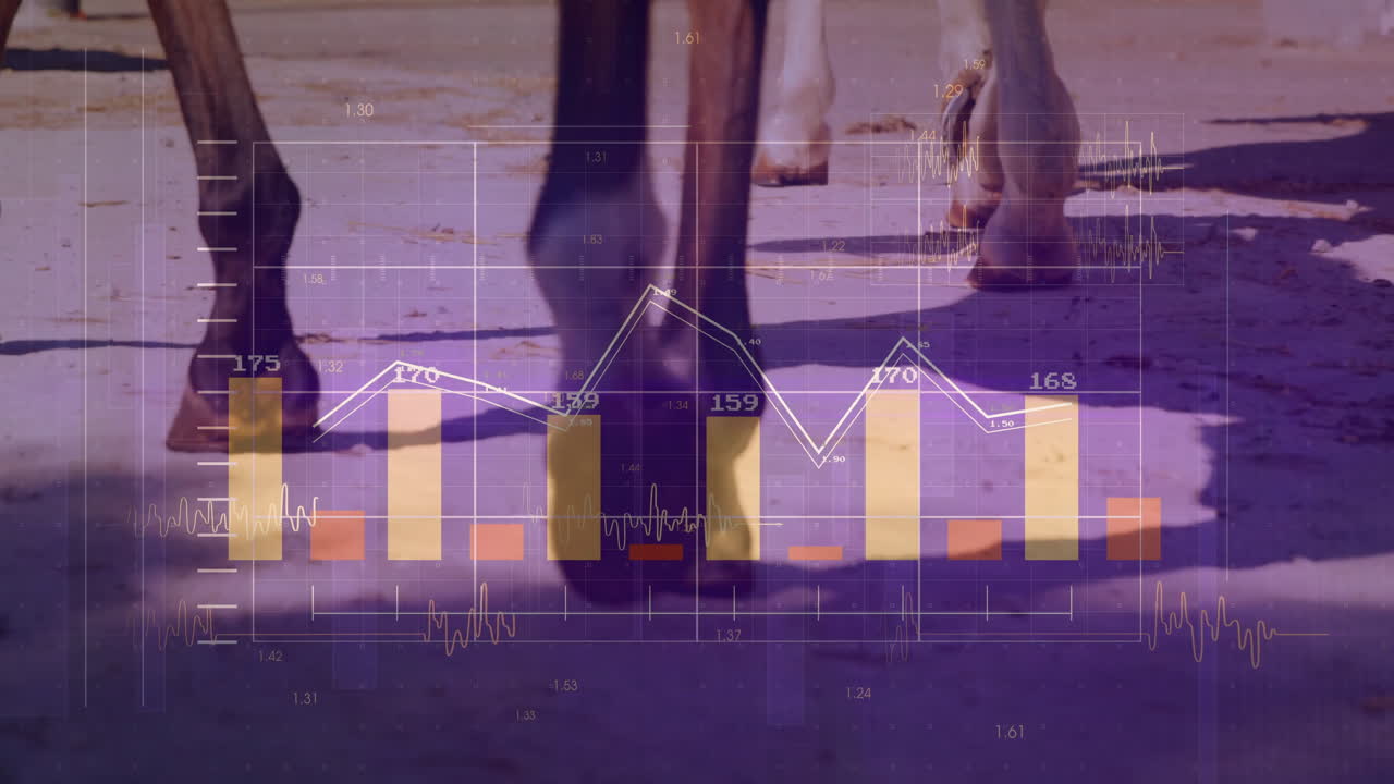 Horse hooves moving across sunlit dirt track, animating digital bars, line graphs and waveforms