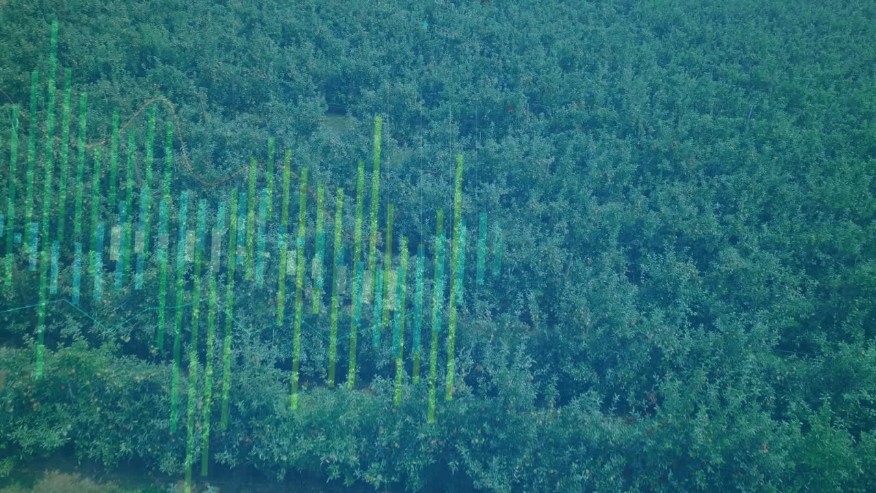Green data visualization animation over aerial view of dense forest landscape