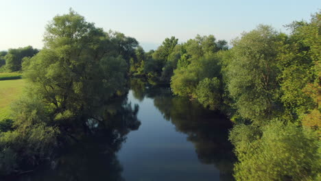 wide shot aerial drone footage following a river surrounded by hanging trees, slovenia