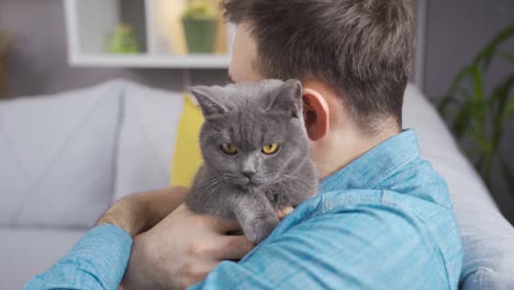 the man is holding a gray cat in his arms.