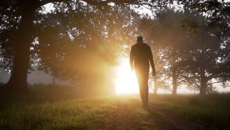 hombre caminando por un bosque de niebla al amanecer