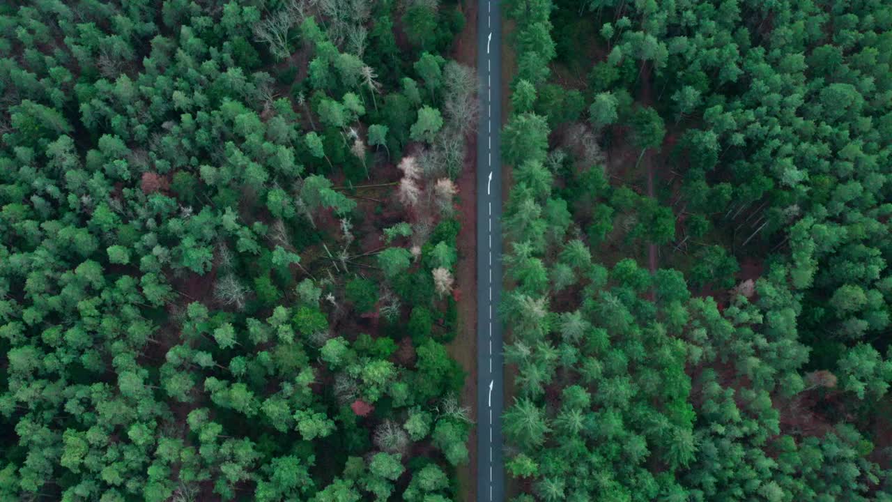 캐나다에서 두 쪽 모두 밀집하고 울창한 숲이 있는 은 직선 도로를 포착한 공중 드론 영상으로 자연 터널을 만들어 위에서 평화롭고 경치 좋은 전망을 제공합니다.