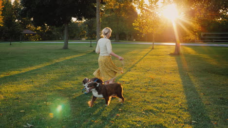 Herbstspaziergang-Im-Park-Mit-Zwei-Haustieren-Frau,-Die-Mit-Ihren-Hunden-Spazieren-Geht