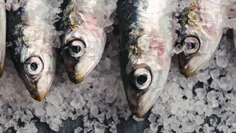 anchoas frescas en hielo