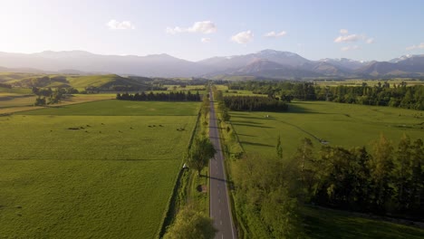 straight road leading through fields of green with livestock at the foothills of new zealand's alps