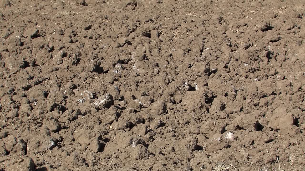 미국 캘리포니아 건조한 지역의 전형적인 붉은 토양