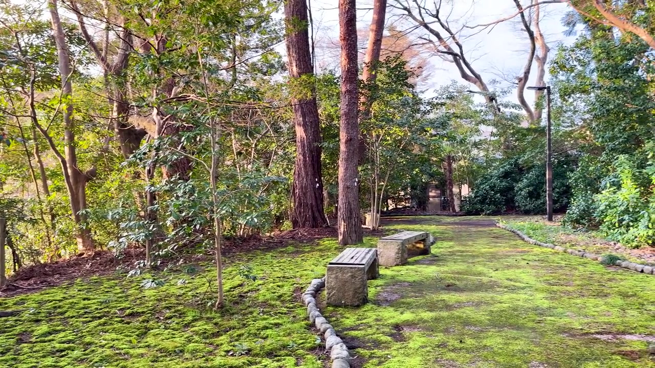 静かな苔むした森林公園にある石のベンチ