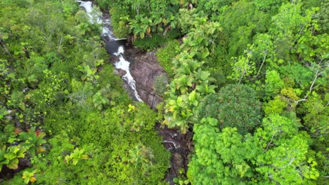 Bird-eye-drone-of-sauzier-waterfall,-dense-tropical-forest-with-palm-trees-and-granite-stone,-Mahe-Seychelles-30fps-9