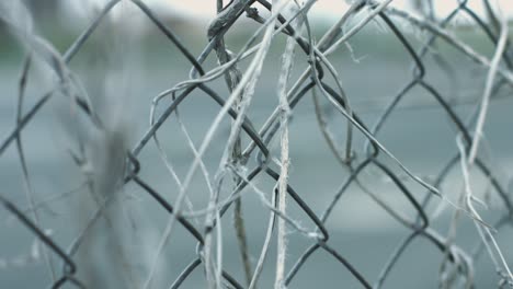 street chain fence with dry plant stems. structure wire mesh fence chain fence