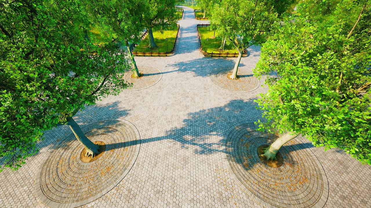 parque central de la ciudad en un día de verano