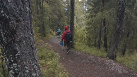 excursionistas en un sendero de bosque lluvioso