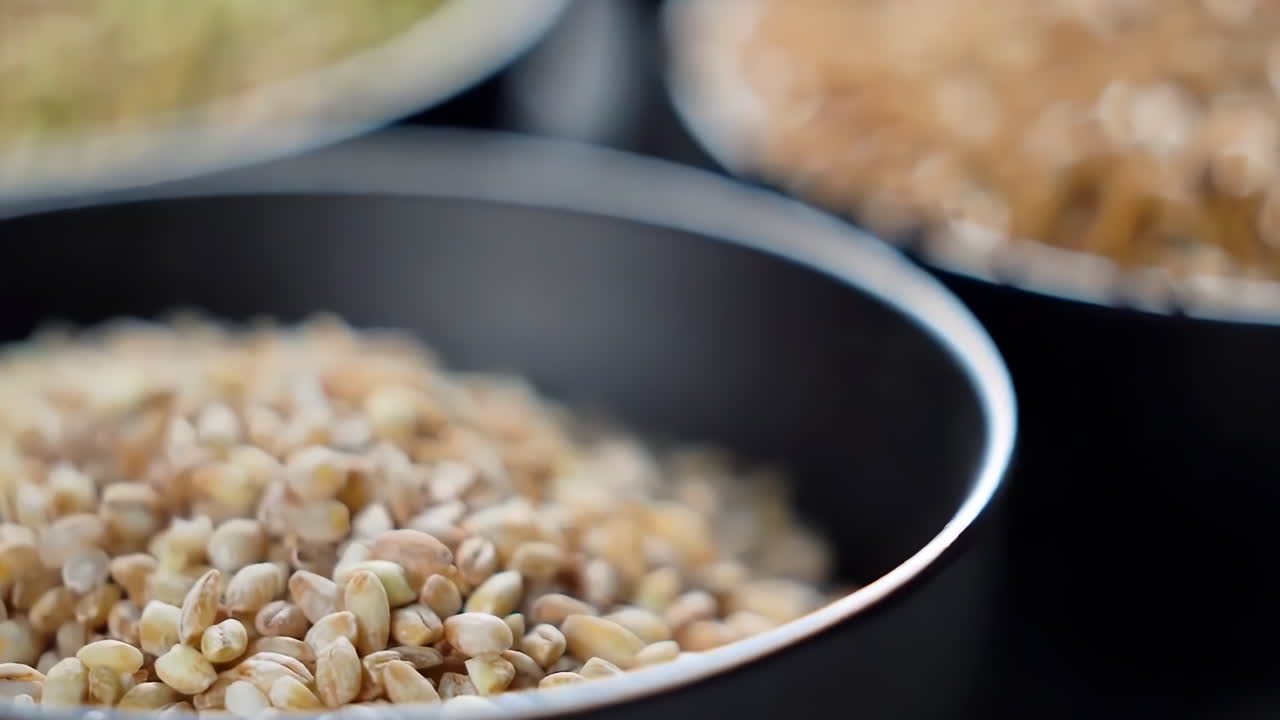 다양한 색의 다양한 원시 건강한 곡물 음식, 다양한 곡물, 곡물, 콩, 콩류는 광고 개념을 위해 목조 장식으로 회전됩니다.