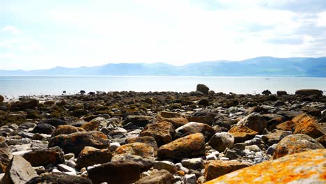 colourful variety of stone boulders beach landscape under north wales mountain range slow dolly right