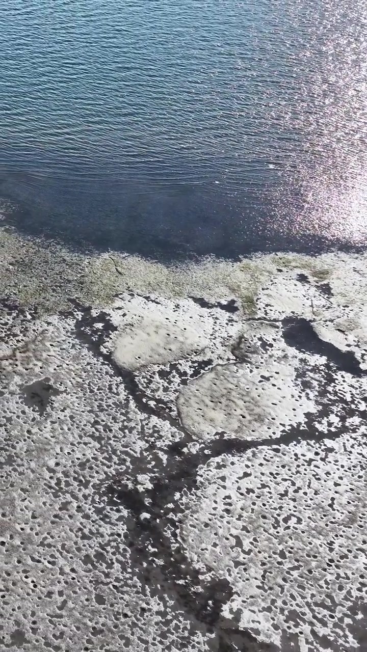 Ripresa aerea con drone di modelli di marea e mangrovie a South Stradbroke Island, Queensland, Australia