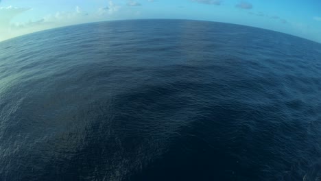 water surface at the sea