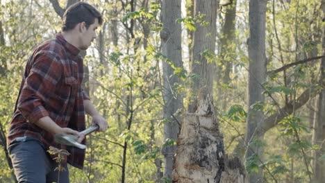 joven caucásico cortando un tocón de árbol