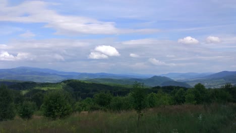 summer carpathians