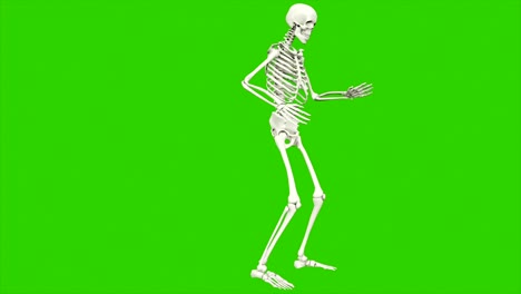 skeleton dancing. seamless loop animation on green screen.