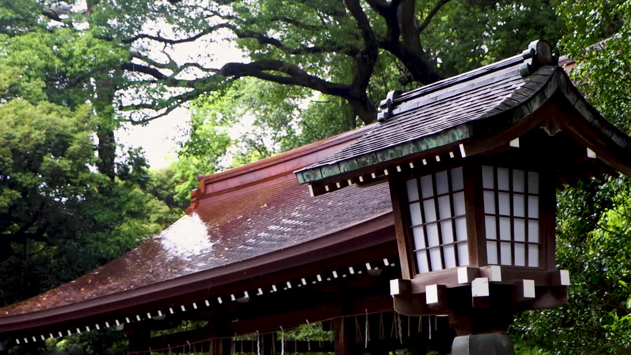 도쿄 최고의 전망