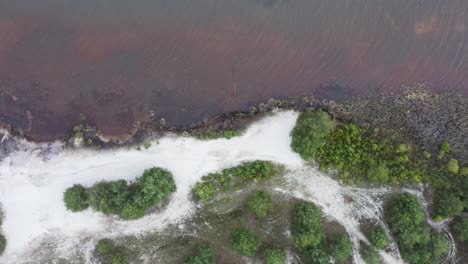 vistas al lago desde arriba hasta pequeñas olas junto a una playa con arena blanca pura y arbustos verdes, paz idílica de la naturaleza