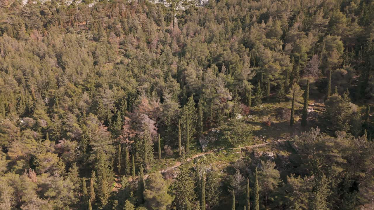 Vista aerea della lussureggiante foresta del Monte Ymittos in Grecia, una serena scena naturale.