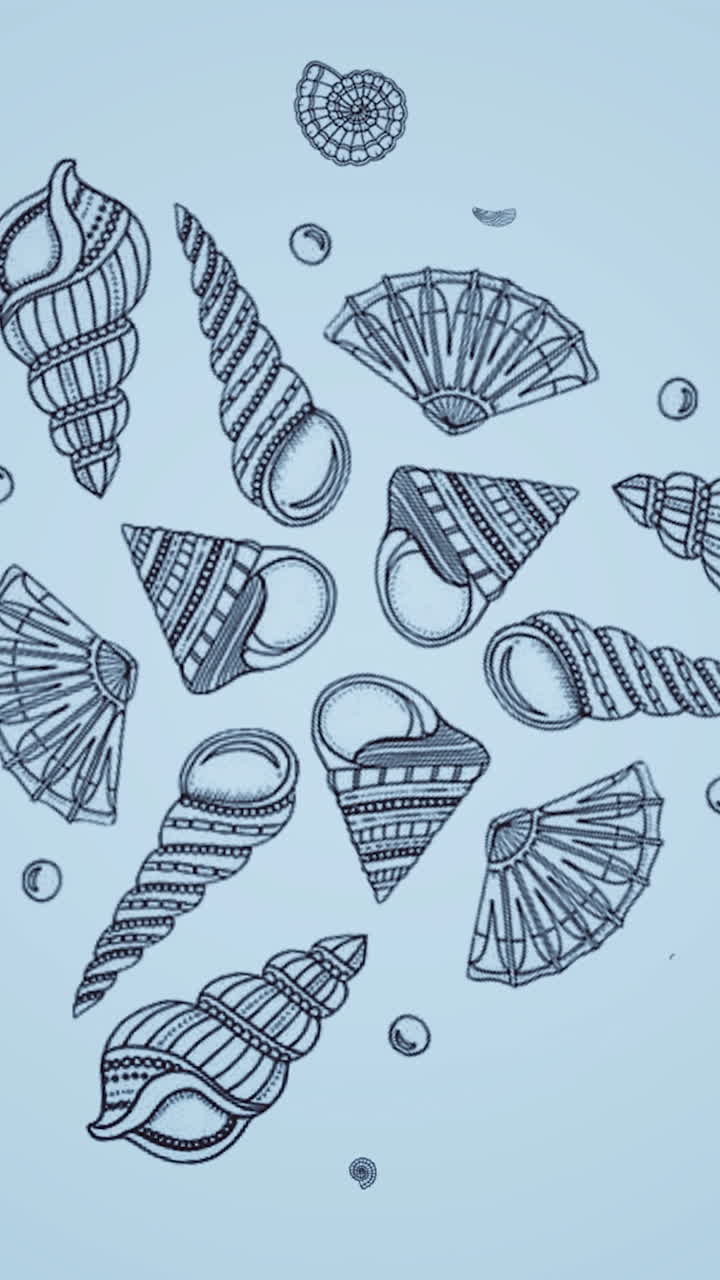 diseño de patrón de concha de mar