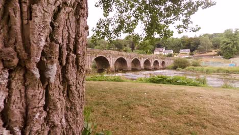 la cámara se mueve lentamente hacia los lados pasando un árbol para revelar un viejo puente de ladrillo sobre un hermoso río que fluye