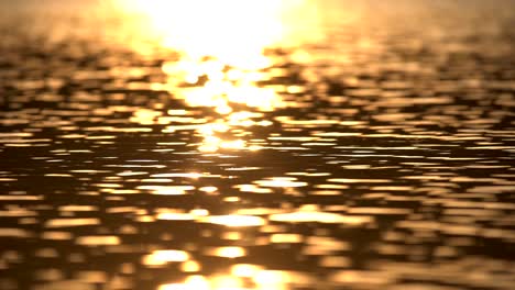 reflection of sunlight over lake surface in slow motion