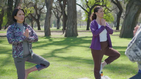 dos mujeres practicando yoga en un parque