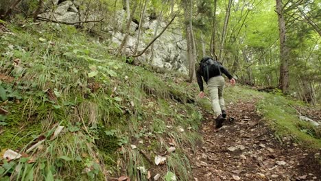 a man walking through a very green forest on an overcast day in slovenia located near the village of gozd martuljek-2