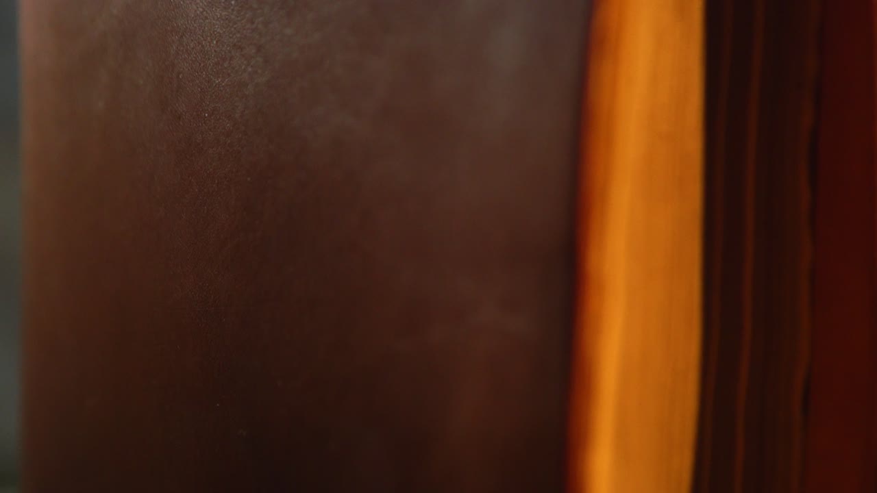 갈색 가죽과 나무 세부 사항