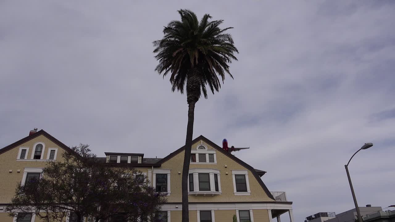 일반 비행기가 캘리포니아 1에서 태양을 배경으로 실루엣으로 착륙할 때 야자수의 멋진 낮은 각도