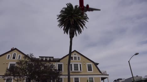 a nice low angle of a palm tree as a generic plane lands silhouetted against the sun in california 1